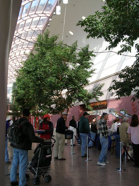 dscn3910.jpg