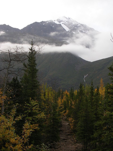 dscn4021.jpg
