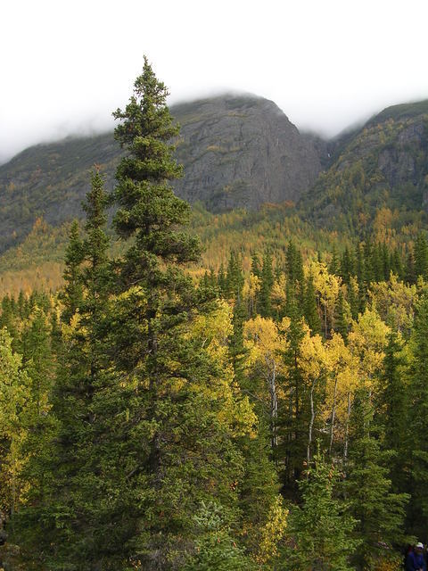 dscn4030.jpg