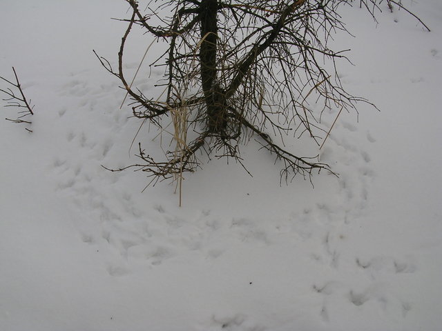 dscn1720.jpg