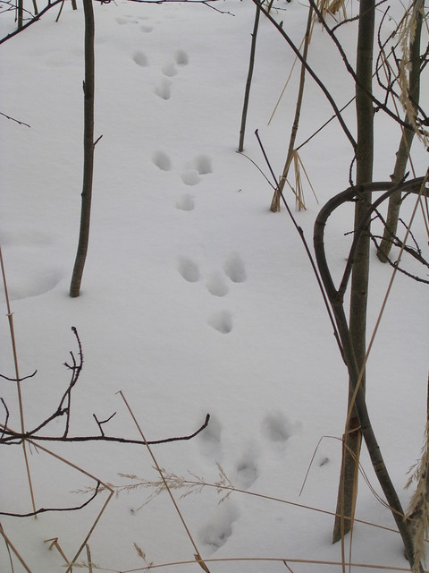 dscn1725.jpg