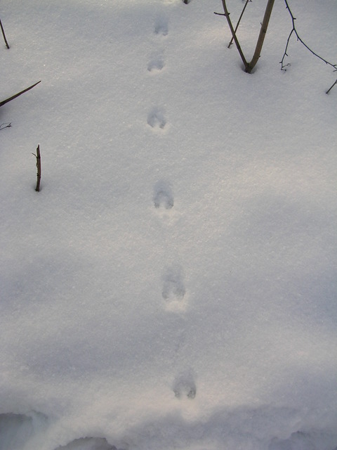 dscn1746.jpg