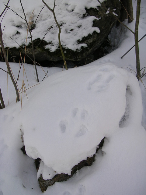 dscn1758.jpg