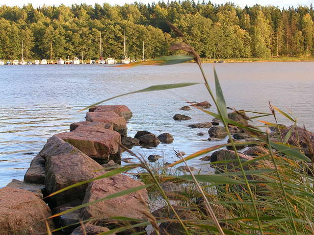 dscn0972.jpg