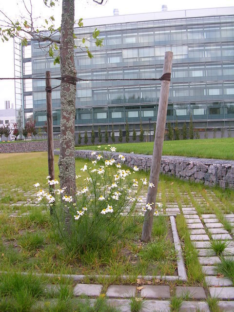 dscn1054.jpg