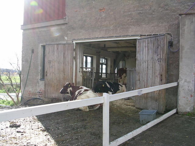 dscn1172.jpg