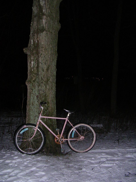 dscn1646.jpg