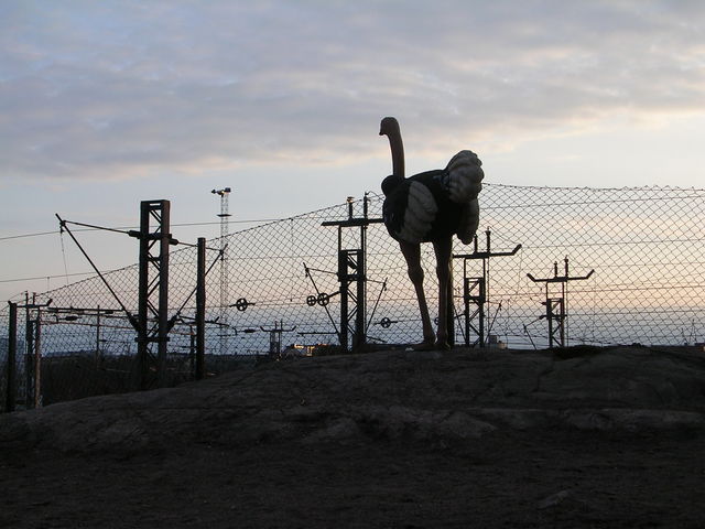 dscn4923.jpg