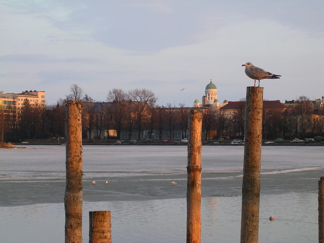 dscn4935.jpg