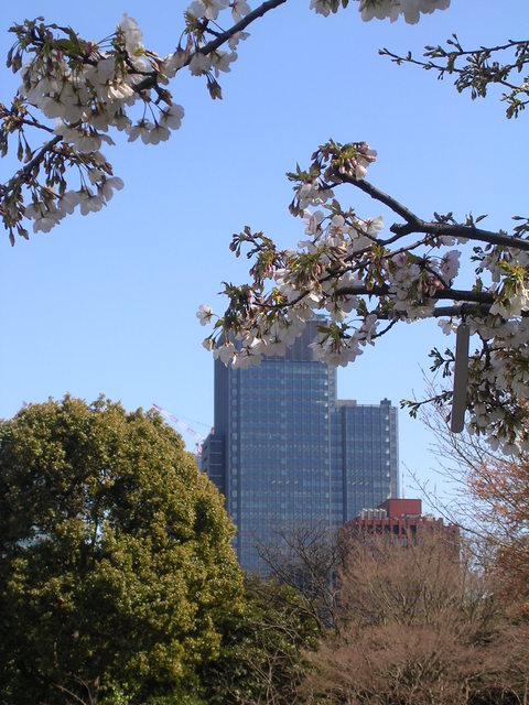 31_tokio_DSCN6528.jpg