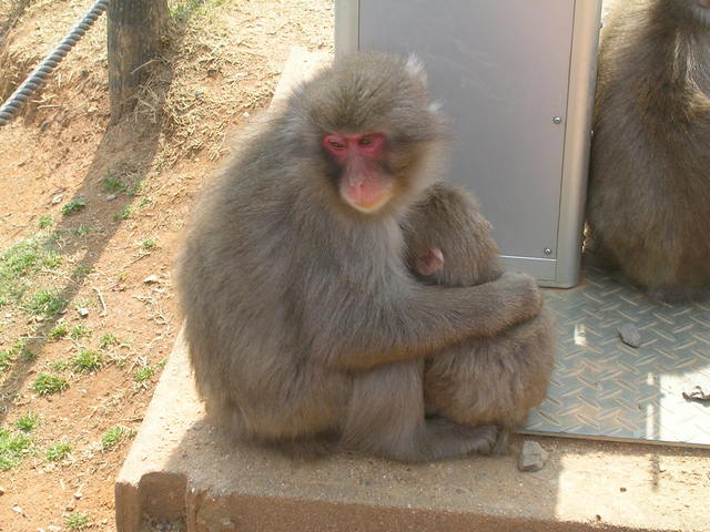 83_kioto_DSCN6953.jpg