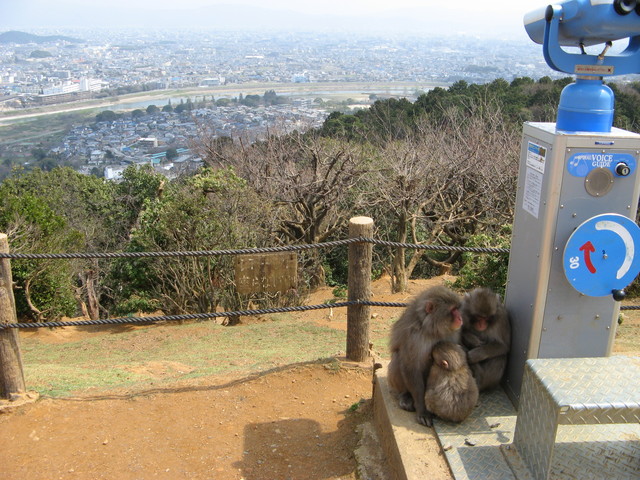 84_kioto_IMG_0425.jpg