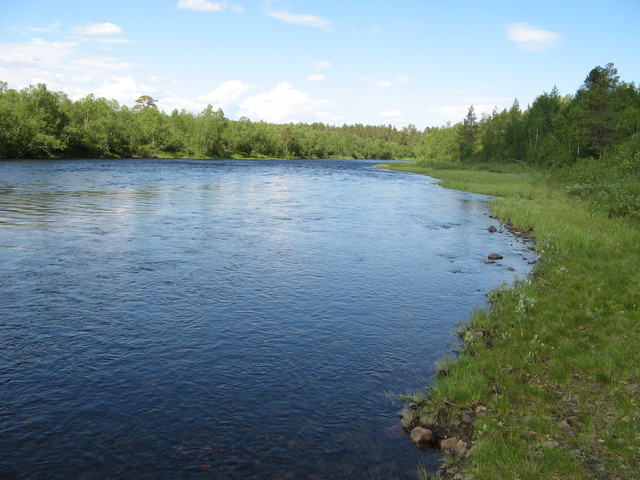 IMG_1096.jpg