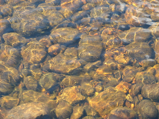 IMG_1099.jpg