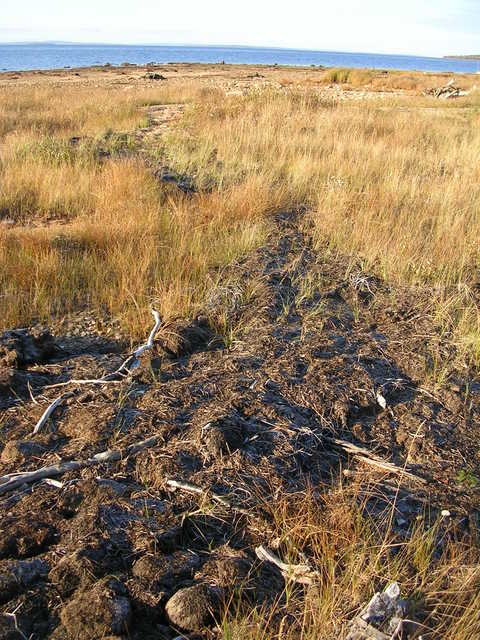 dscn6024.jpg