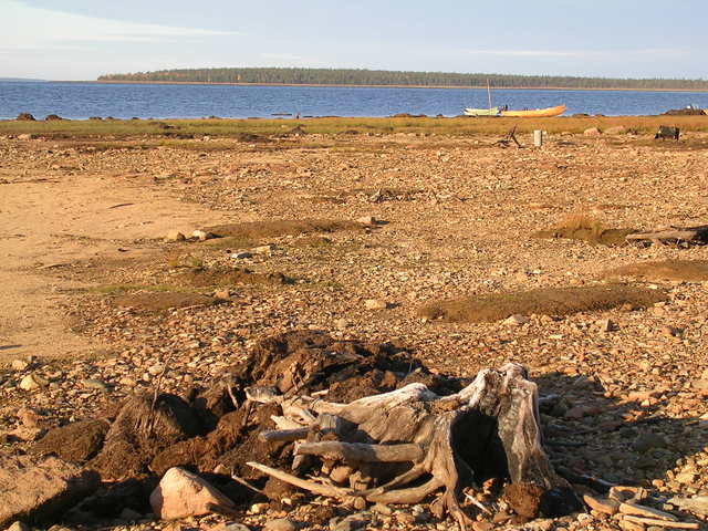 dscn6028.jpg