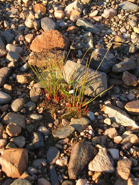 dscn6029.jpg
