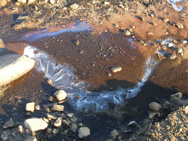 dscn6038.jpg