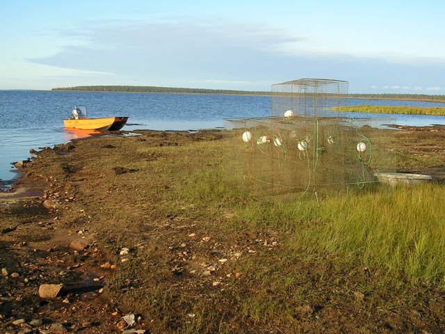 dscn6039.jpg