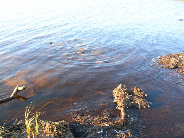 dscn6043.jpg