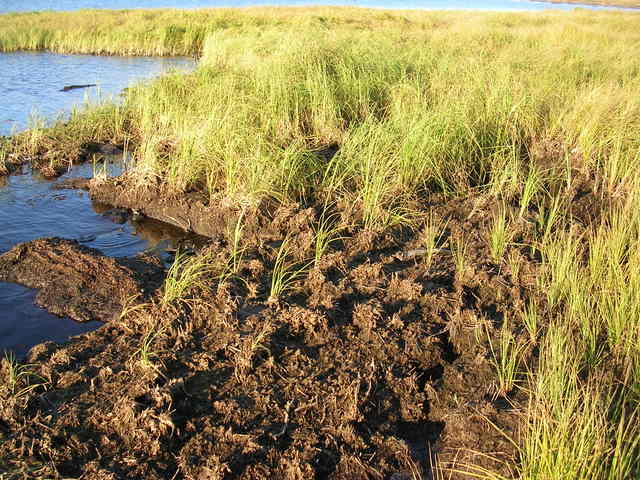 dscn6046.jpg