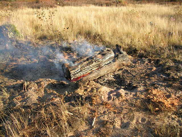 dscn6052.jpg