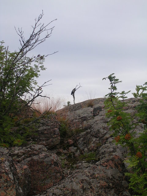 dscn0513.jpg