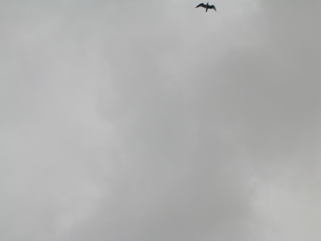 dscn0556.jpg