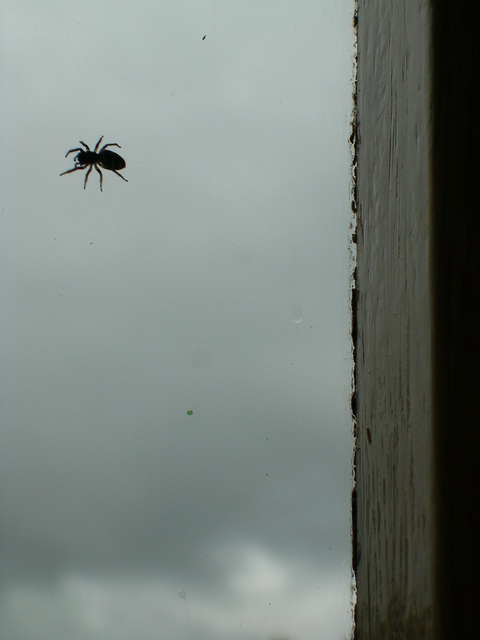 dscn0706.jpg