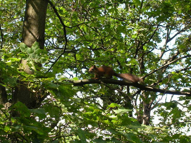 dscn0717.jpg