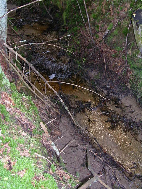 dscn0817.jpg
