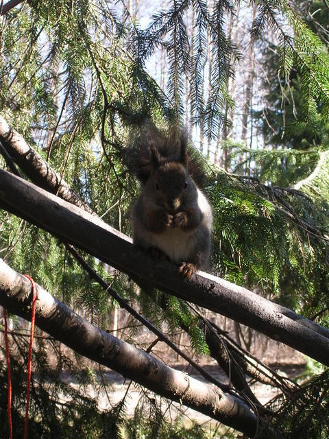 dscn2157.jpg