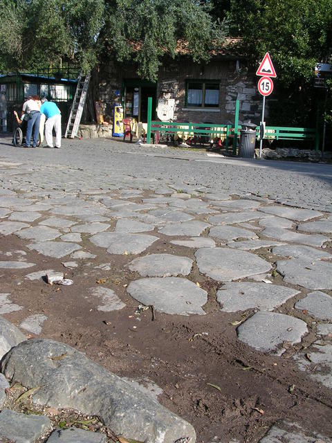 dscn4090.jpg