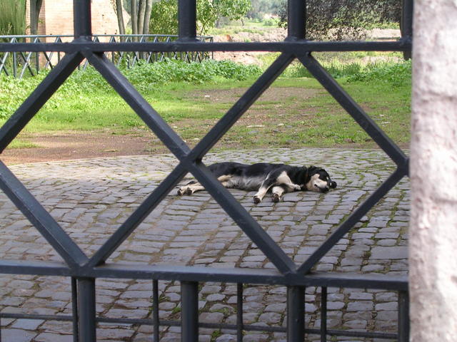 dscn4133.jpg