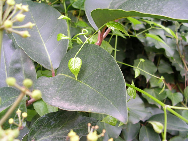dscn4176.jpg