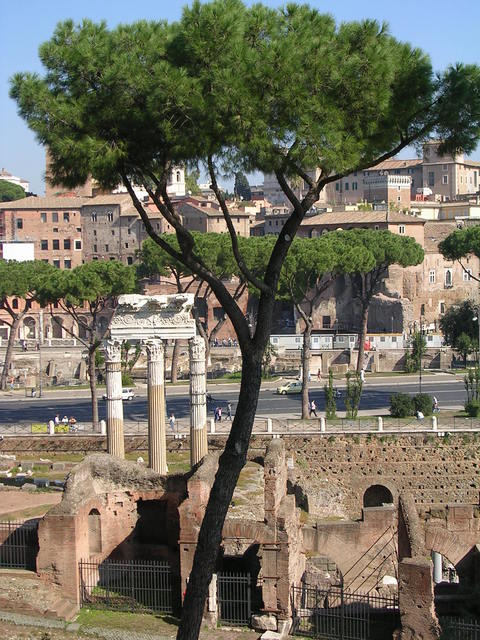 dscn4362.jpg