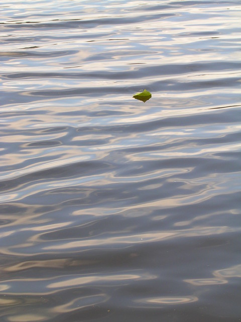 dscn3278.jpg