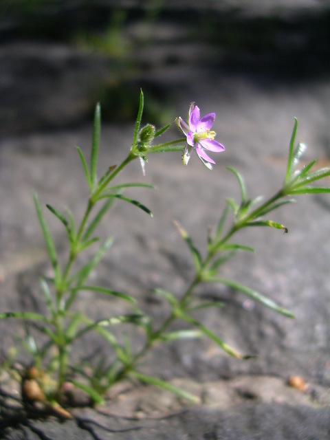 dscn3299.jpg