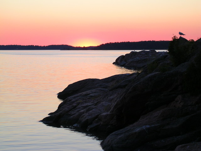 dscn3355.jpg