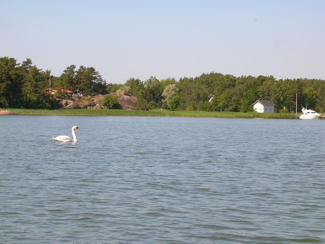 dscn3368.jpg