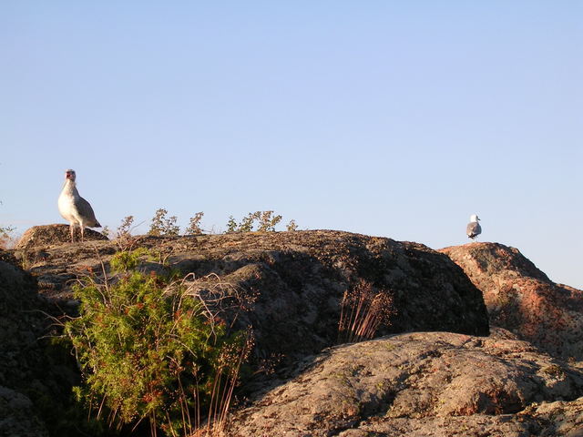 dscn3399.jpg