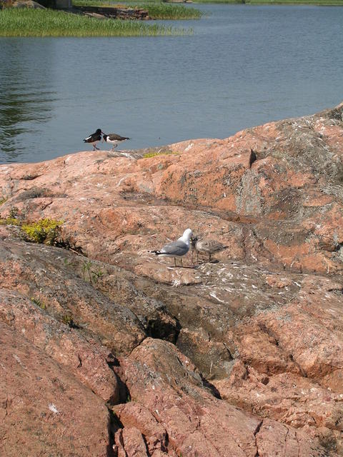 dscn3415.jpg