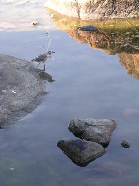 dscn3418.jpg