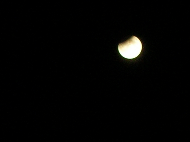dscn5924.jpg