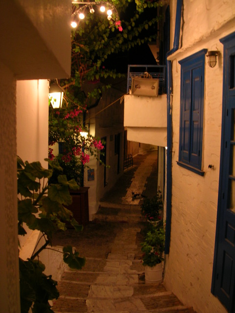 dscn5935.jpg