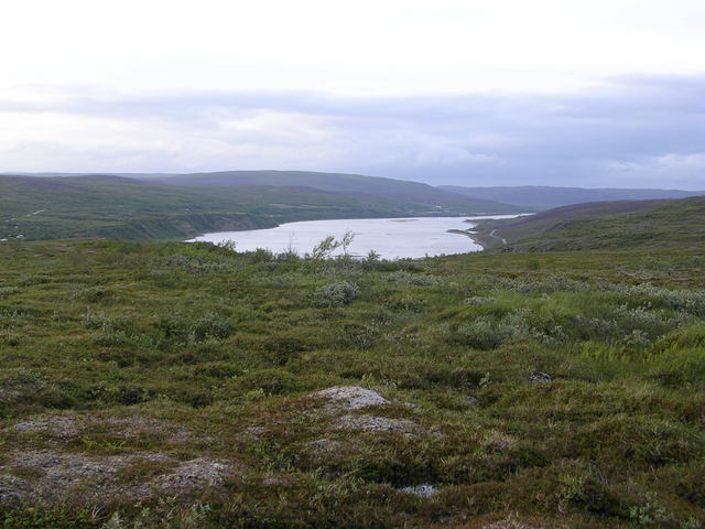 dscn5577.jpg