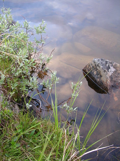 dscn5601.jpg
