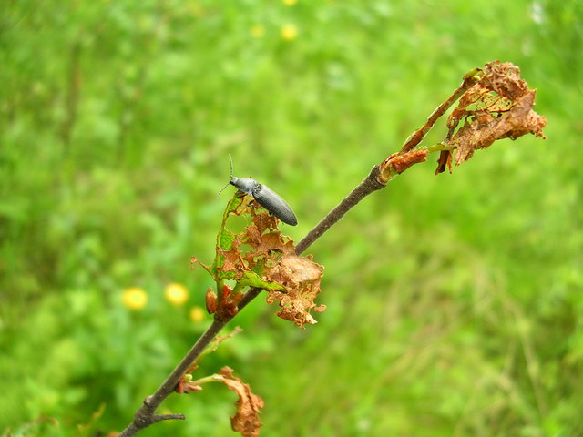 dscn5637.jpg