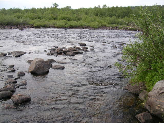 dscn5660.jpg