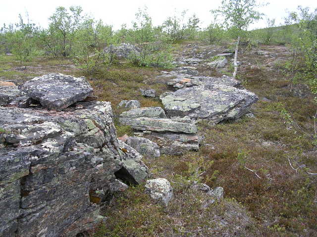 dscn5369.jpg